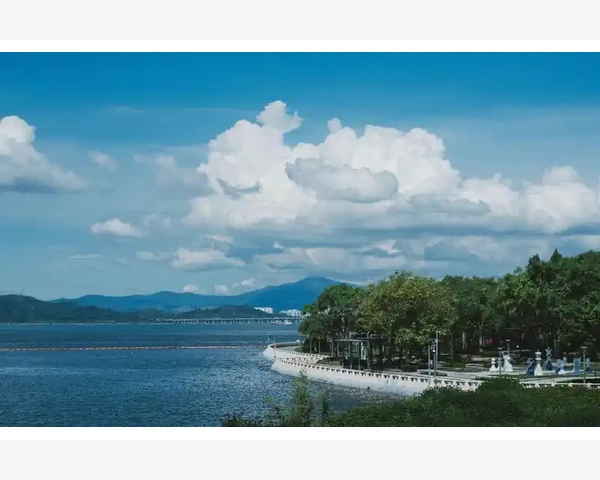 脾胃肝肾健康：卵巢功能的隐形守护者