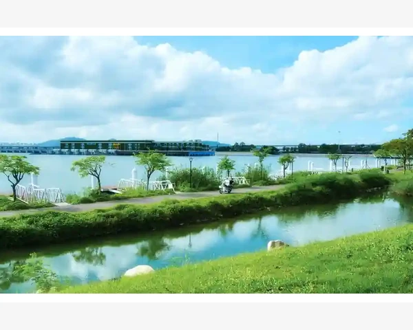 气血不足吃阿胶又上火？探寻中医的奥秘