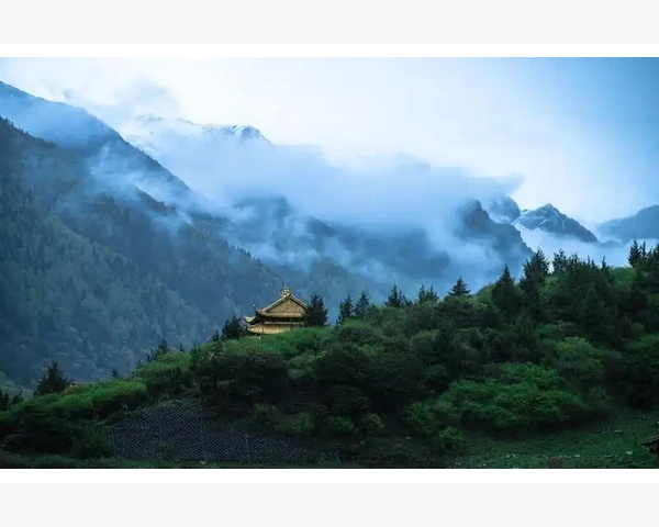 刮痧后背部肌肉僵硬怎么办？中医为您解析！